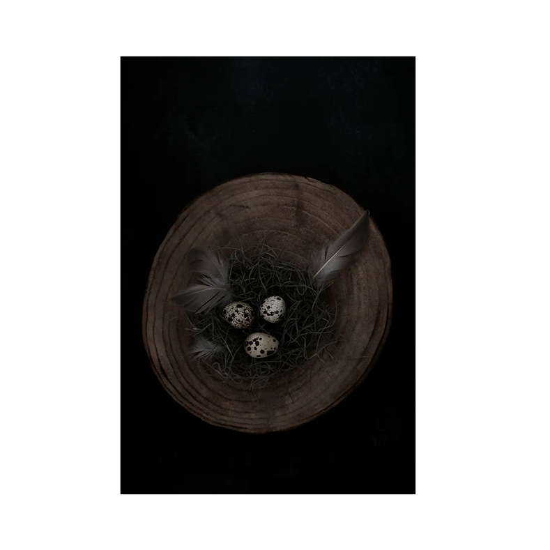 Card 'Nest' by Lyn McCreanor