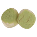 Sage Clare Fenella Coasters x 4 Pistachio