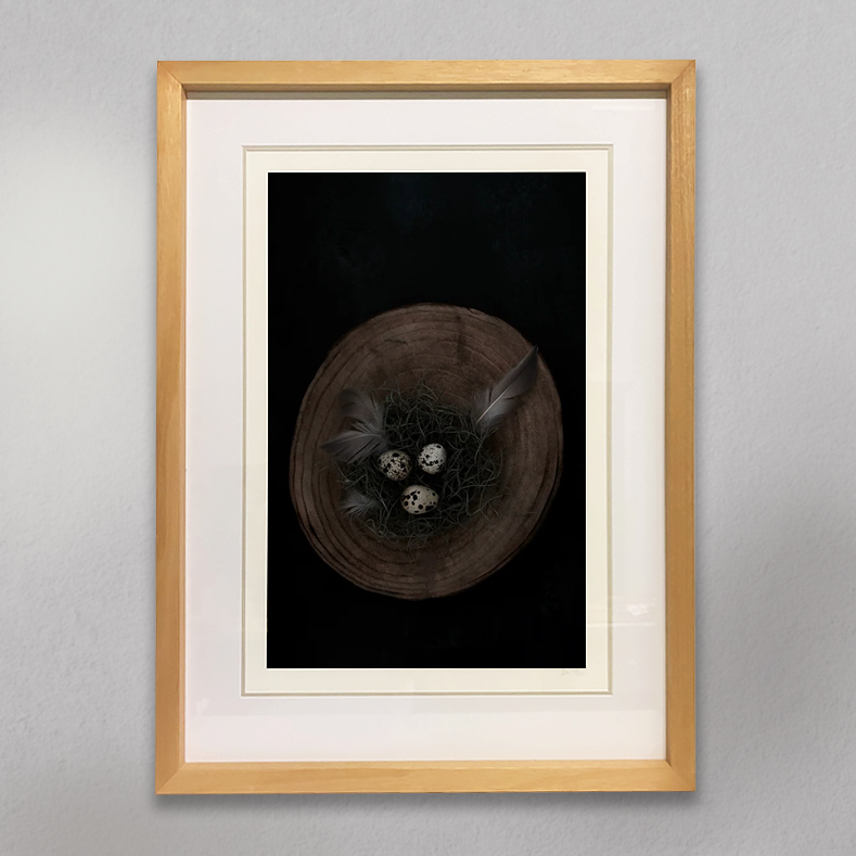 Art - Nest by Lyn McCreanor