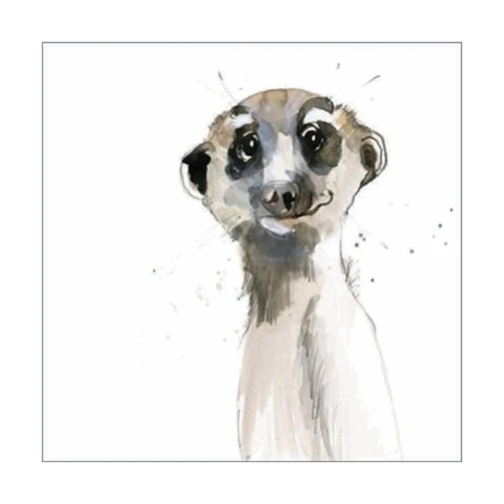 Card Meercat
